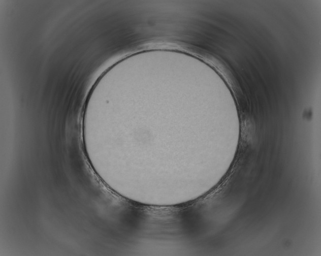 X0000088851150200706291449