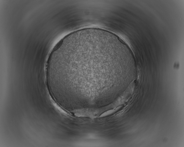 X0000088851151200706291449