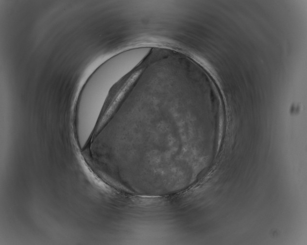 X0000088851152200706291449