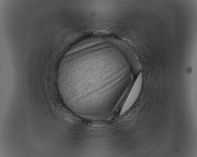 X0000088851153200706291448