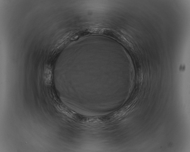 X0000088851154200706291448