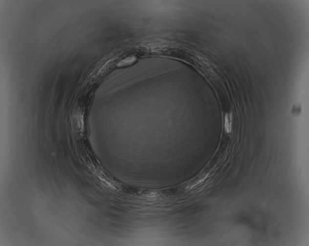 X0000088851155200706291448