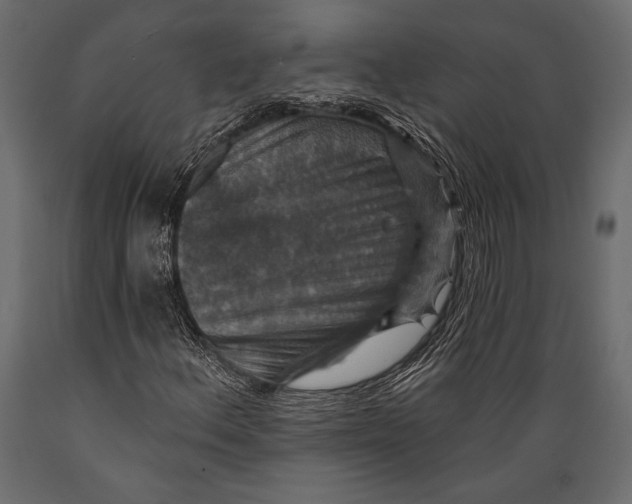 X0000088851156200706291448