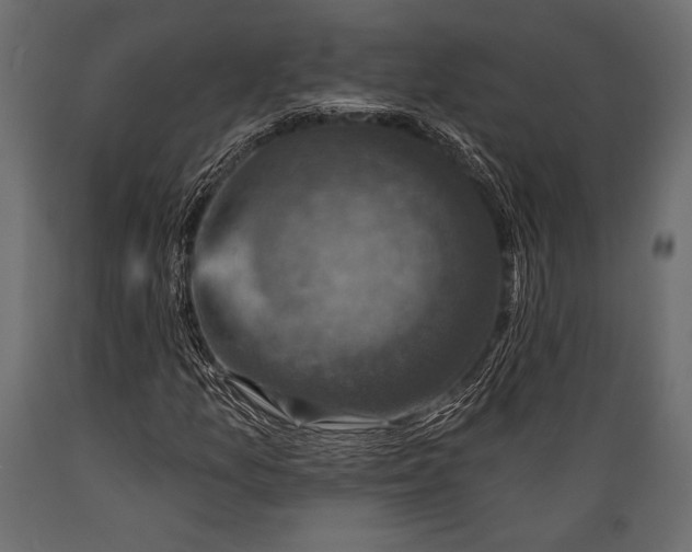 X0000088851157200706291448