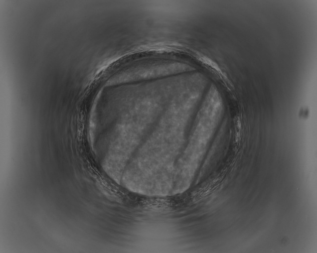 X0000088851158200706291448