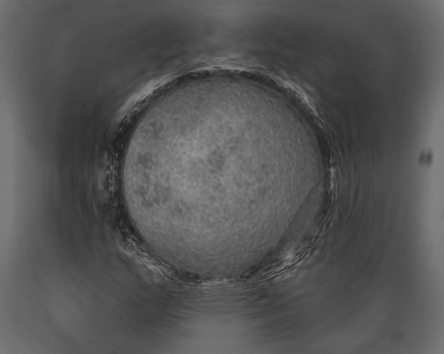 X0000088851159200706291448