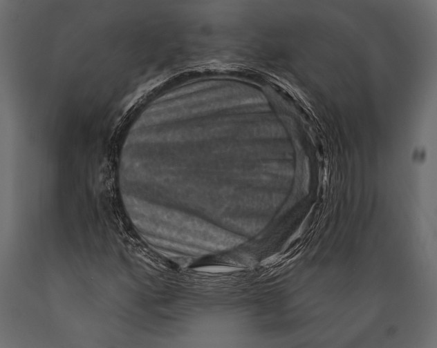 X0000088851160200706291448