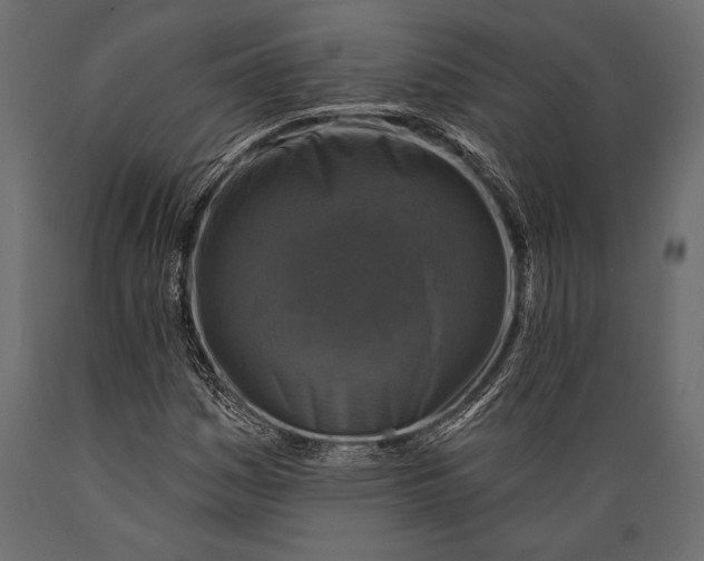 X0000088851161200706291448