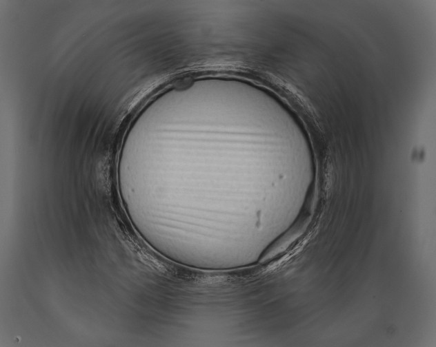 X0000088851162200706291448