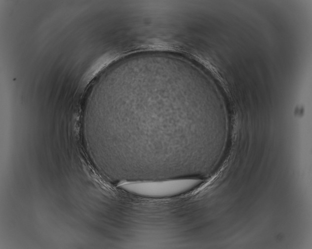 X0000088851163200706291448