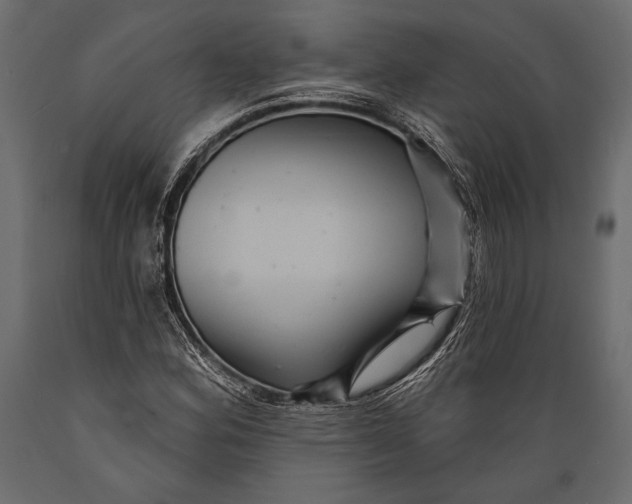 X0000088851164200706291448