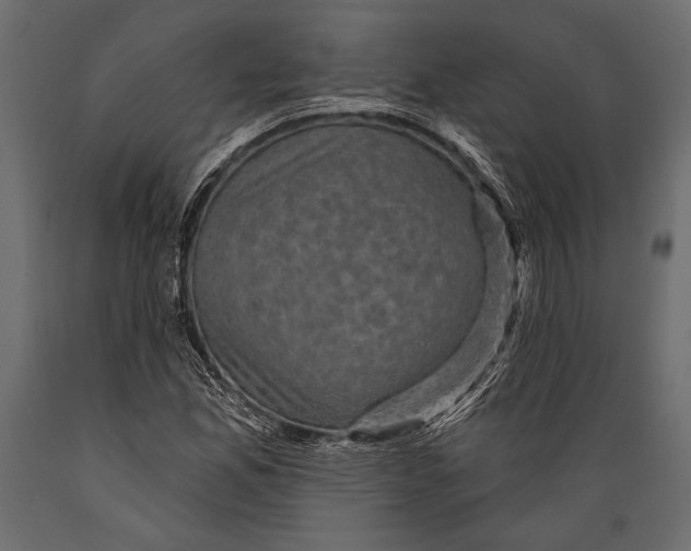 X0000088851165200706291448