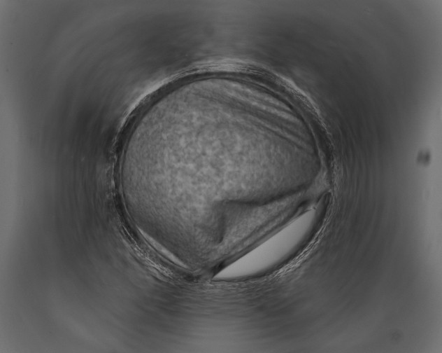 X0000088851166200706291448