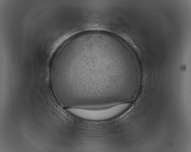 X0000088851167200706291448