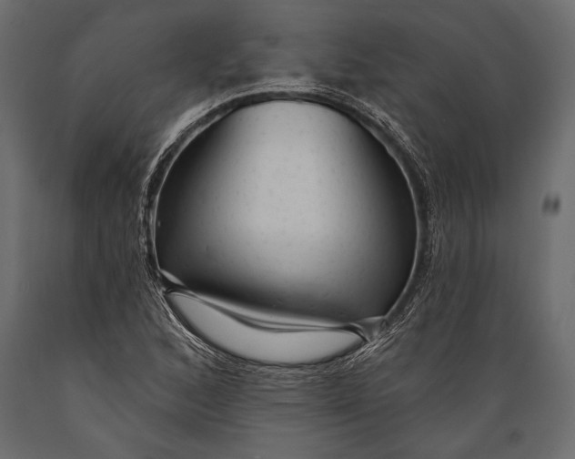 X0000088851168200706291448