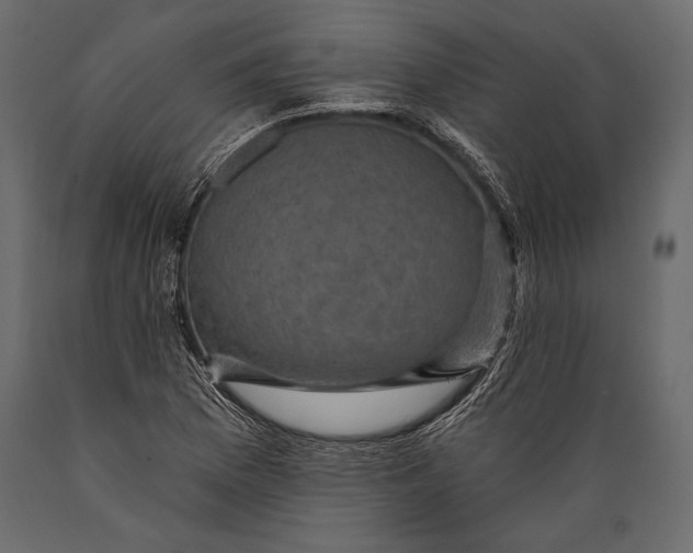 X0000088851169200706291448