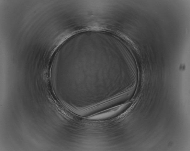 X0000088851170200706291448