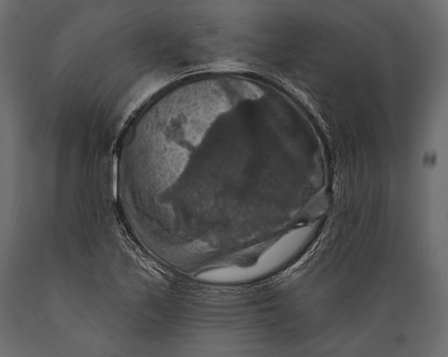 X0000088851171200706291448