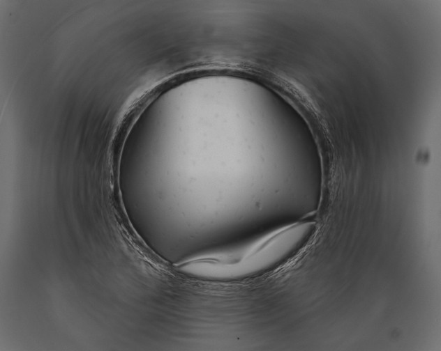 X0000088851172200706291448