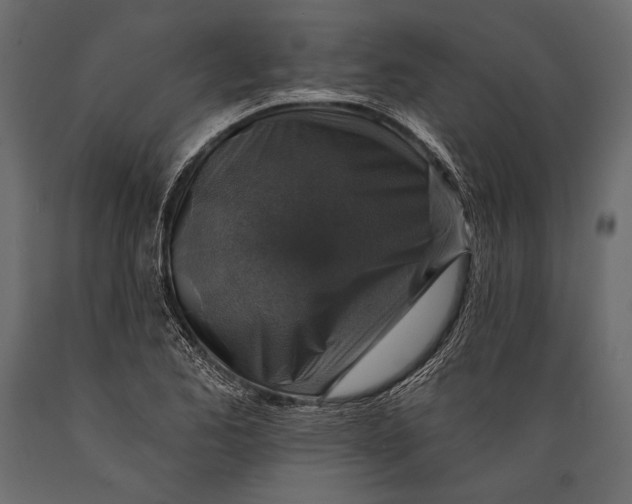 X0000088851173200706291448