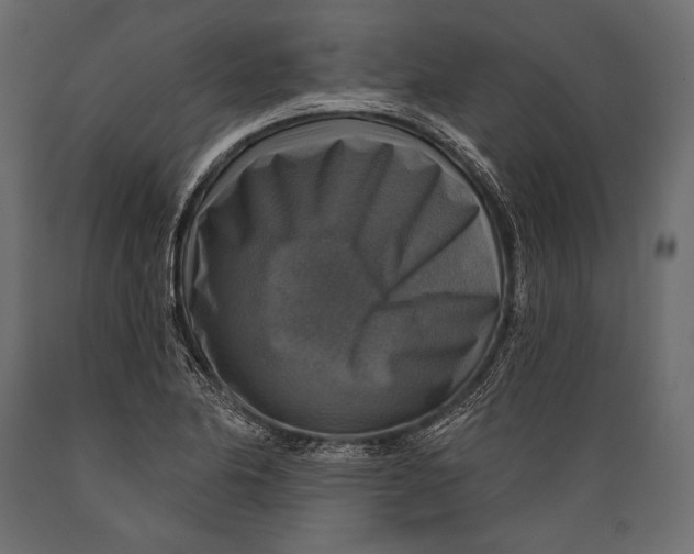 X0000088851174200706291448