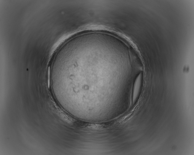 X0000088851175200706291448