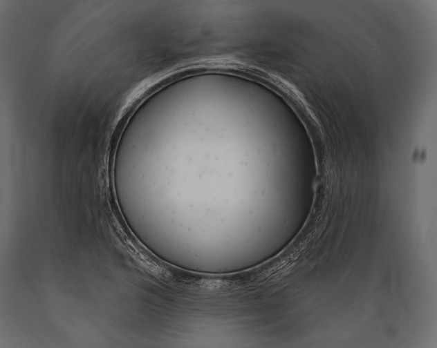 X0000088851176200706291448