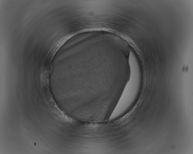 X0000088851177200706291448