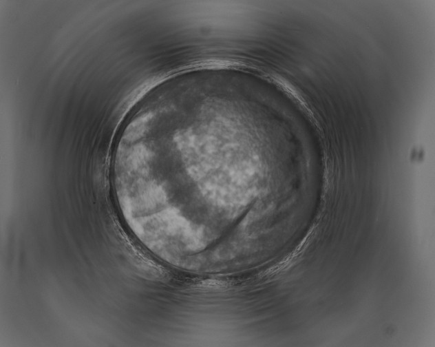 X0000088851178200706291448