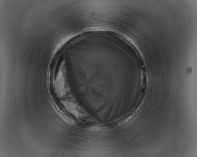 X0000088851179200706291448