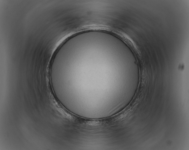 X0000088851182200706291448