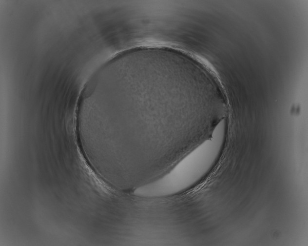 X0000088851183200706291448