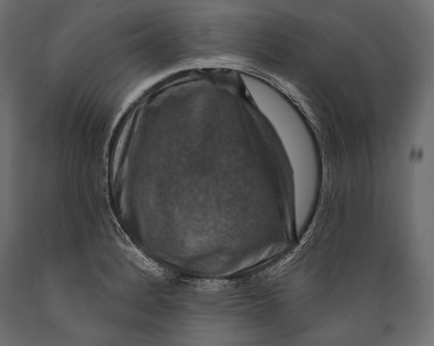 X0000088851184200706291448