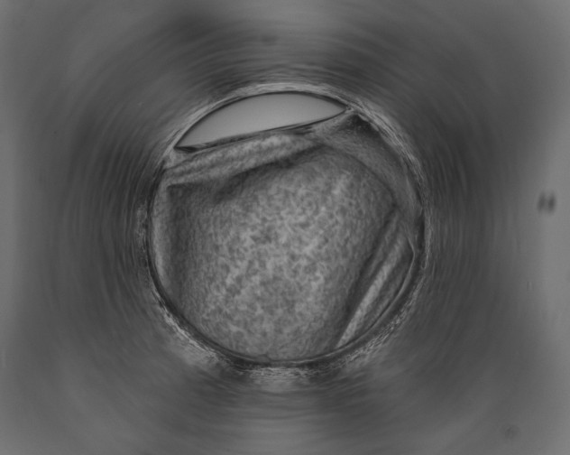 X0000088851185200706291448