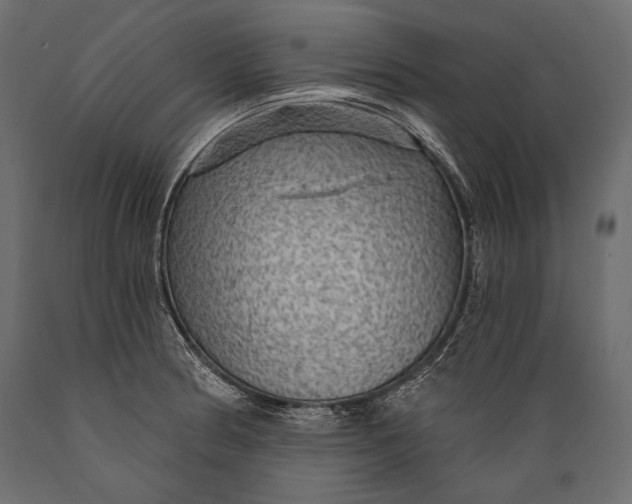 X0000088851186200706291448