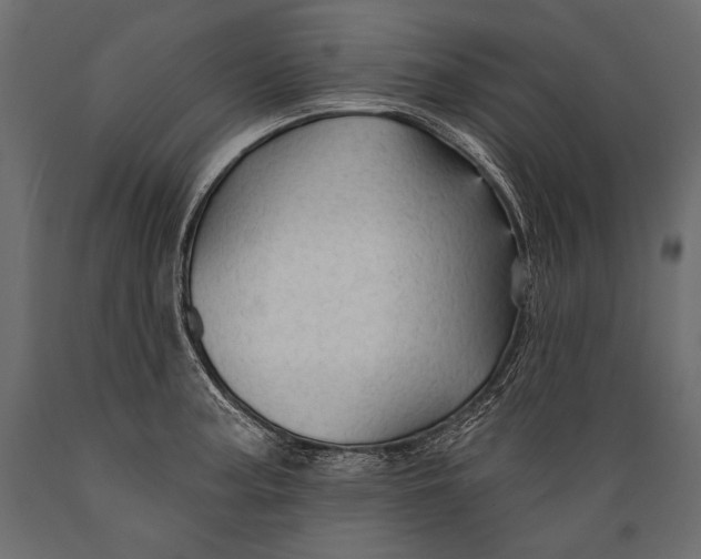 X0000088851187200706291448