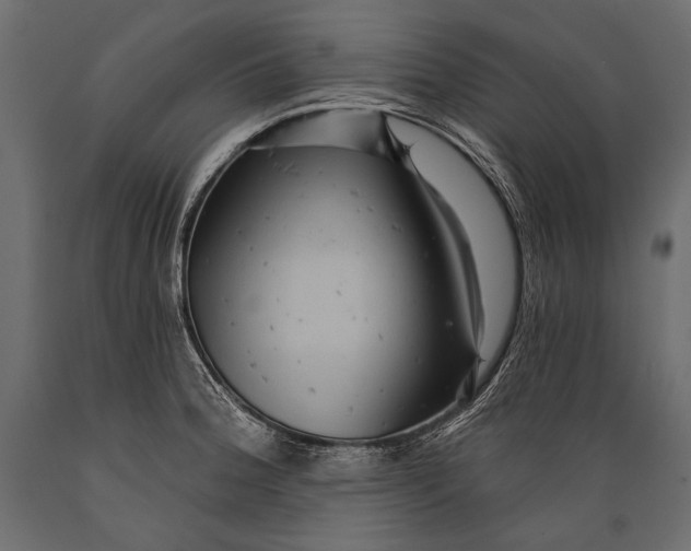 X0000088851188200706291448