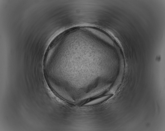 X0000088851189200706291448