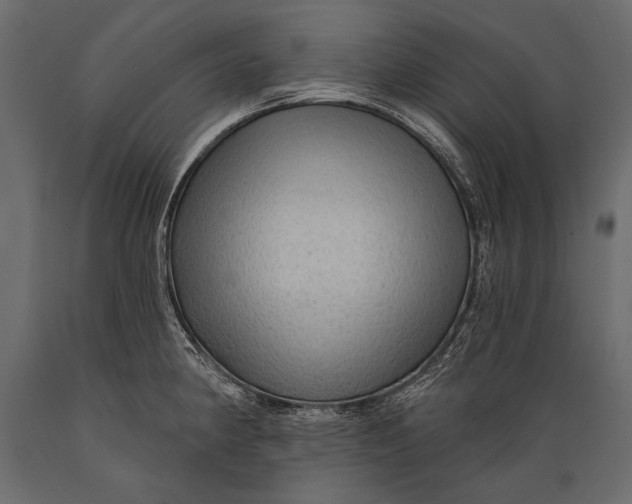 X0000088851190200706291448