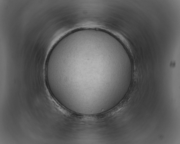 X0000088851191200706291448