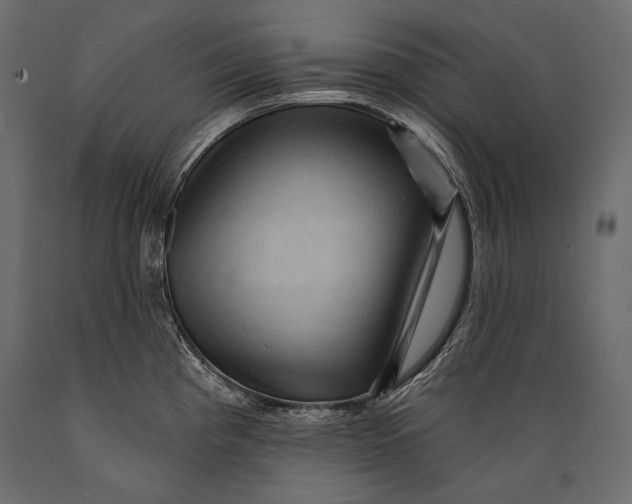 X0000088851193200706291448