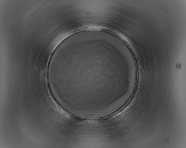 X0000088851194200706291448