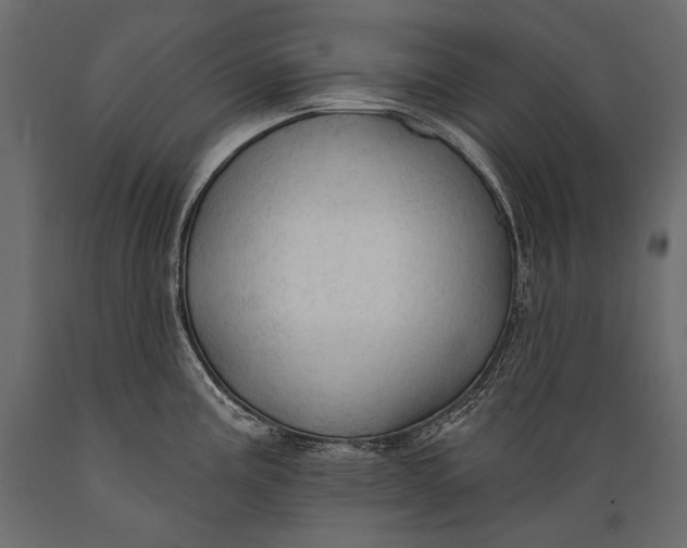 X0000088851195200706291448