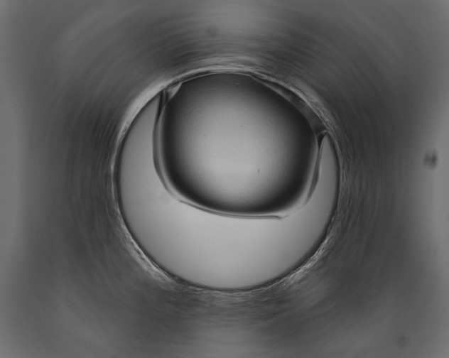 X0000088851196200706291448