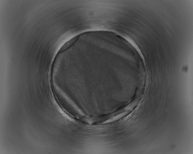 X0000088851197200706291448