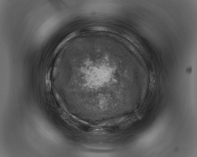 X0000088851198200706291448