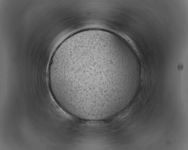 X0000088851199200706291448