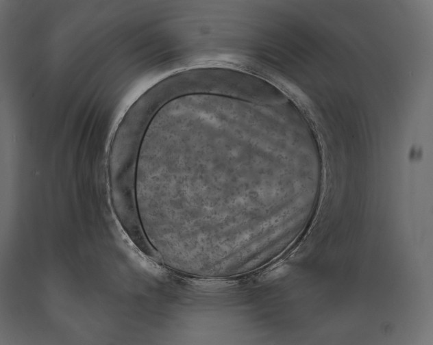 X0000088851200200706291448