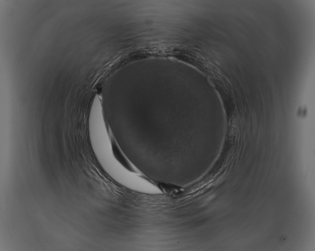 X0000088851202200706291447