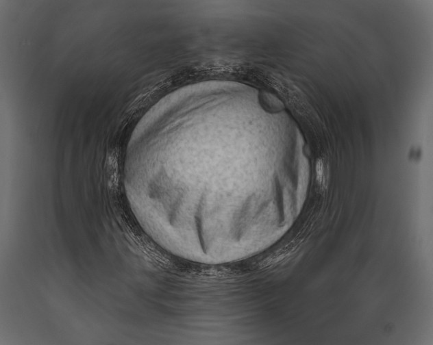 X0000088851203200706291447